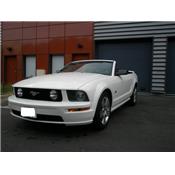 MUSTANG CAB V8 4.6L